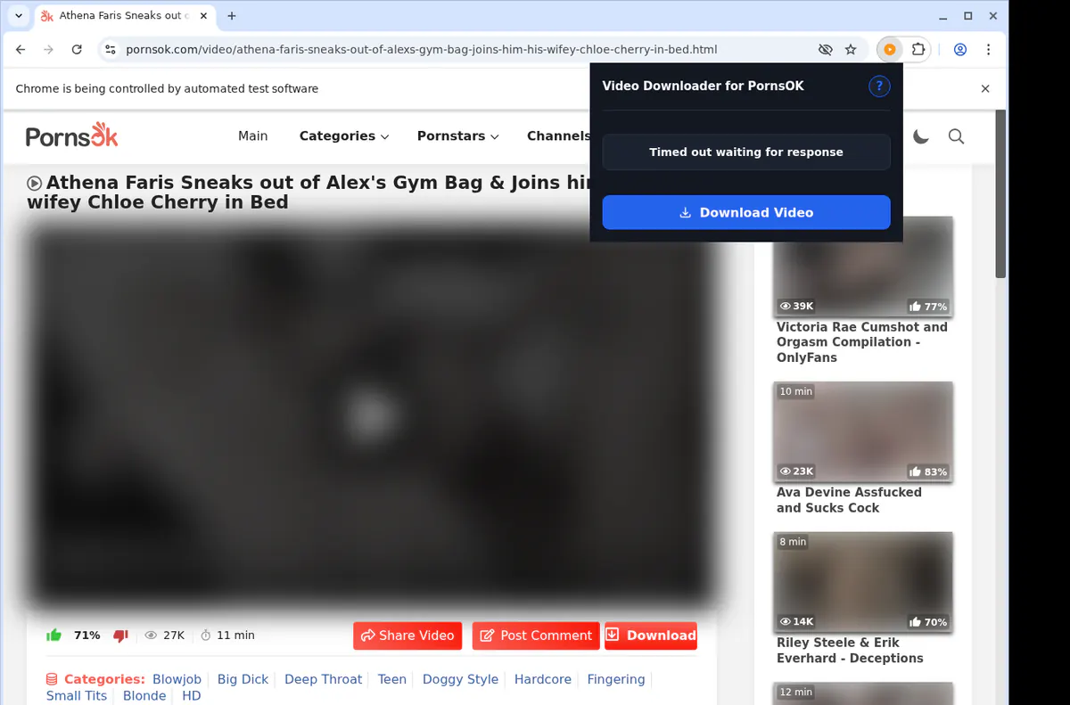 Pornsok Video Downloader browser extension screenshot 2