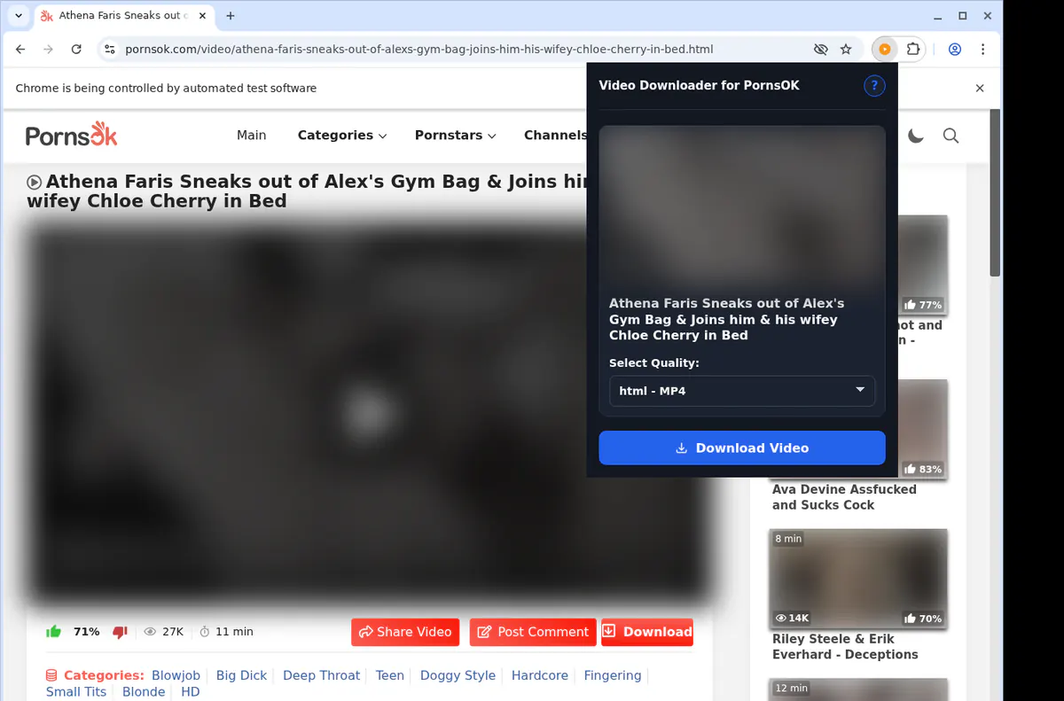Pornsok Video Downloader browser extension screenshot 3