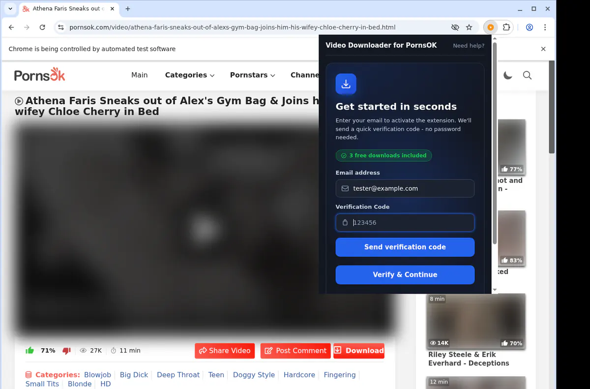 Pornsok Video Downloader browser extension screenshot 4