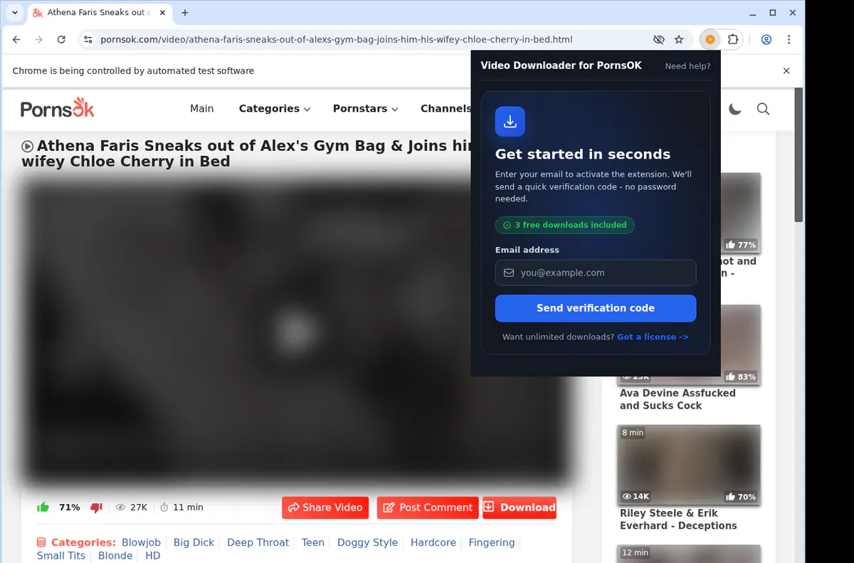 Pornsok Video Downloader browser extension screenshot 5